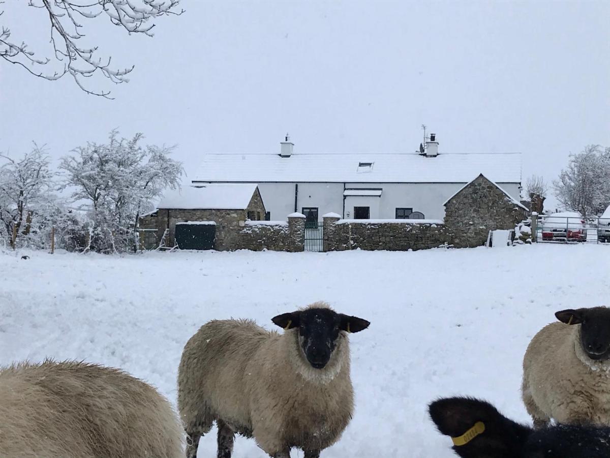 Mournes Family Cottage With Hot Tub Hilltown 外观 照片