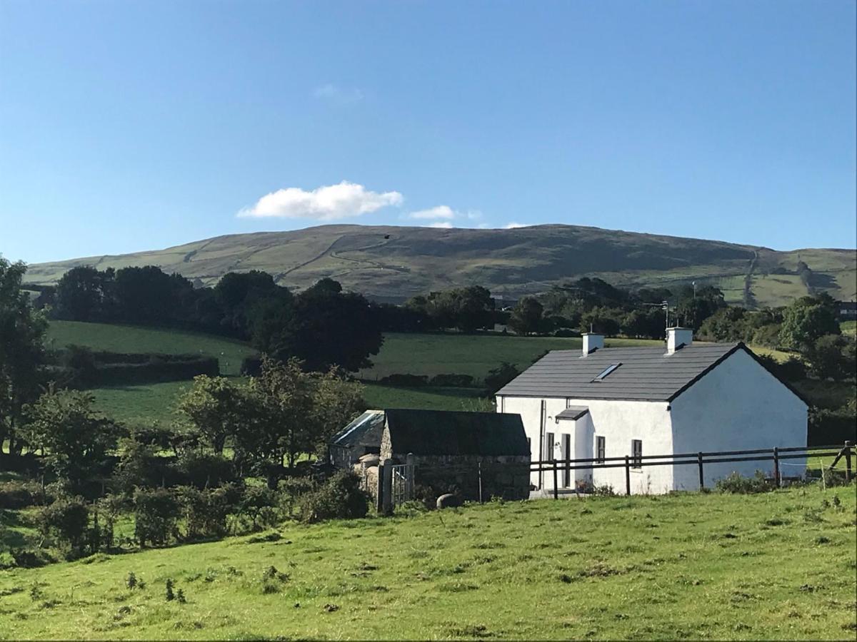 Mournes Family Cottage With Hot Tub Hilltown 外观 照片