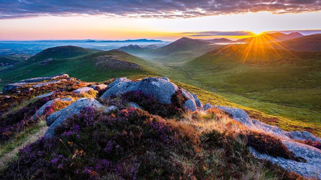 Mournes Family Cottage With Hot Tub Hilltown 外观 照片